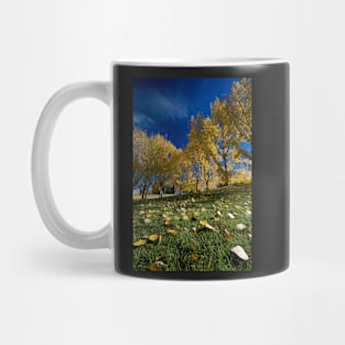 Confederation Park - Calgary Mug